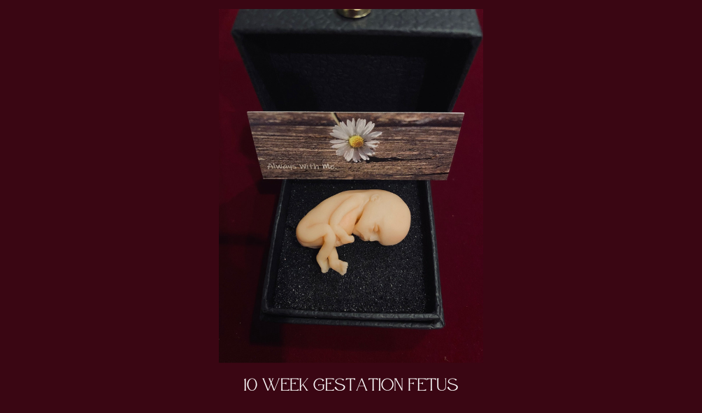 9 week fetus sculpture