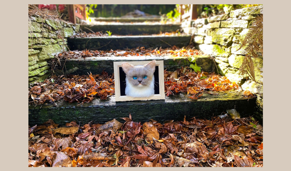 black needle felted cat portrait