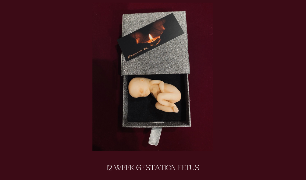 11 week fetus  sculpture