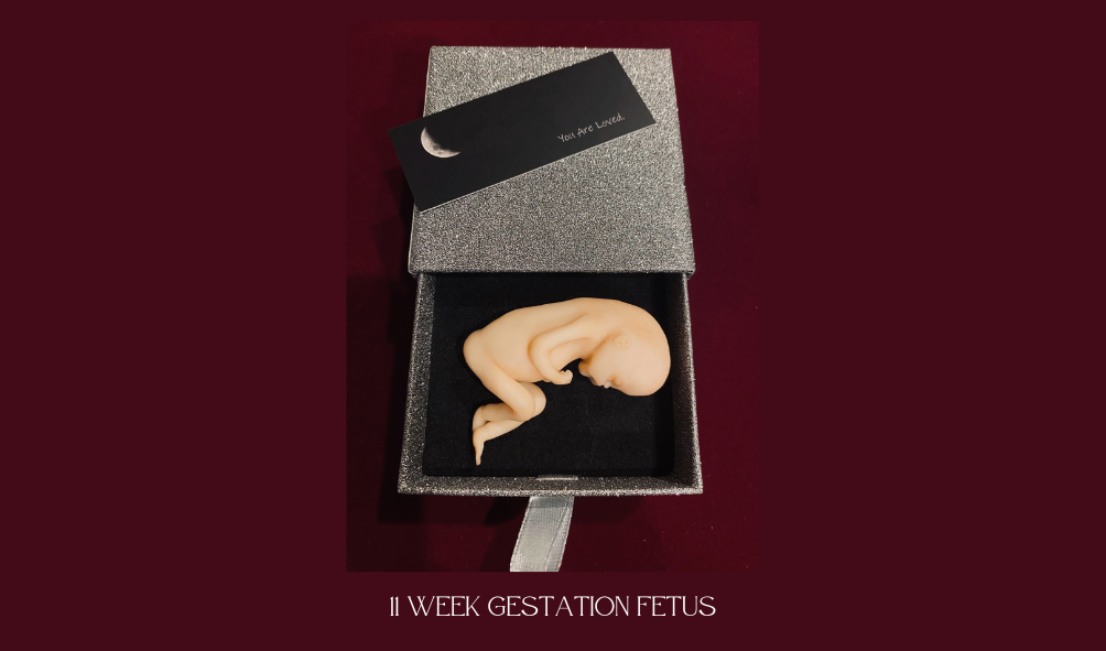 10 week fetus sculpture