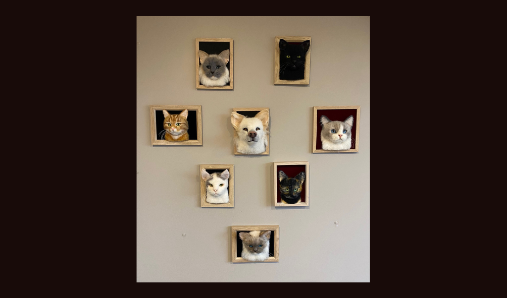 rag doll needle felted cat portrait